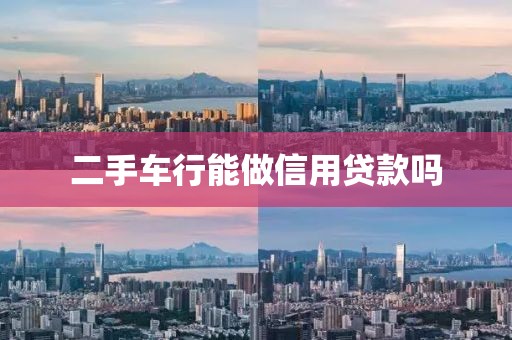 二手车行能做信用贷款吗
