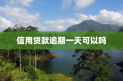 信用贷款逾期一天可以吗