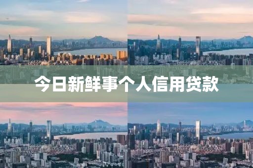 今日新鲜事个人信用贷款