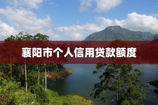 襄阳市个人信用贷款额度