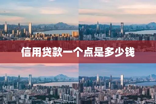 信用贷款一个点是多少钱