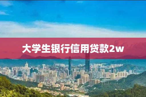 大学生银行信用贷款2w