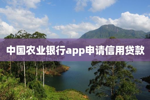 中国农业银行app申请信用贷款
