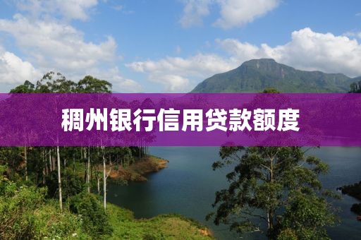 稠州银行信用贷款额度