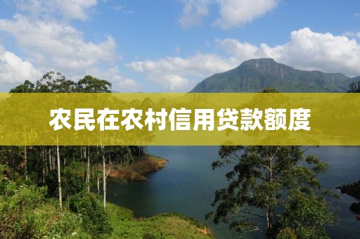 农民在农村信用贷款额度