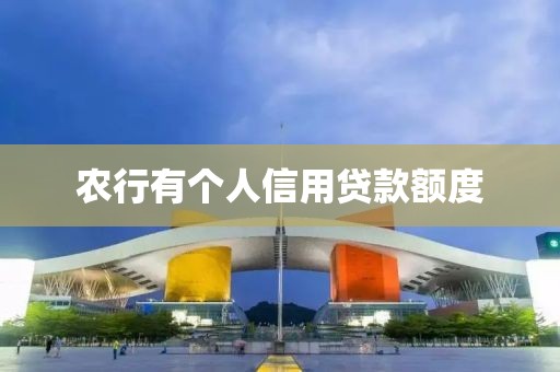农行有个人信用贷款额度