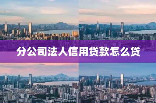 分公司法人信用贷款怎么贷