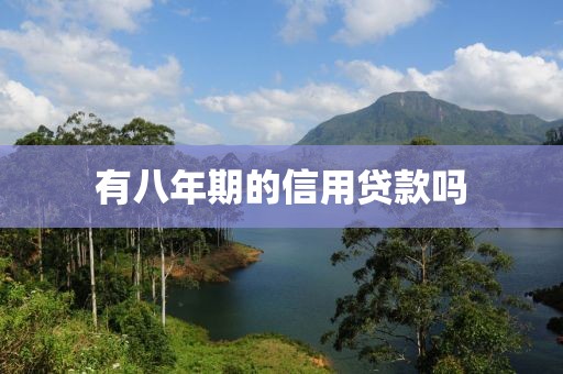 有八年期的信用贷款吗