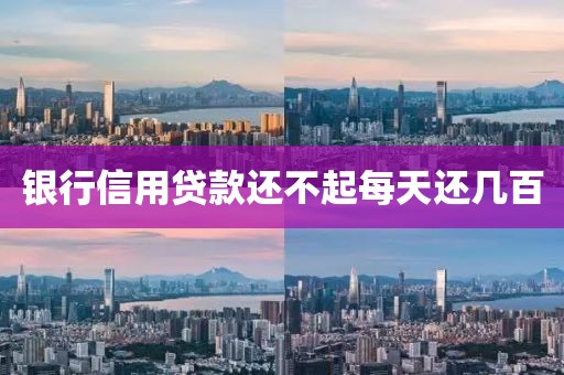 银行信用贷款还不起每天还几百