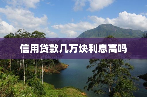 信用贷款几万块利息高吗