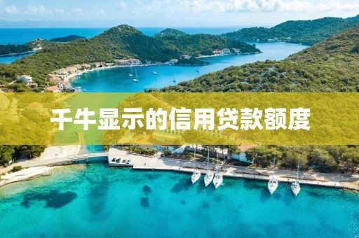 千牛显示的信用贷款额度