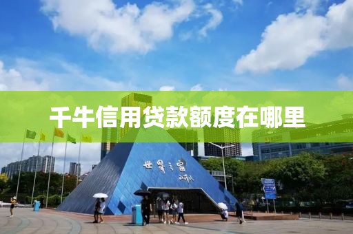 千牛信用贷款额度在哪里