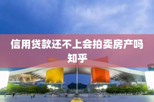 信用贷款还不上会拍卖房产吗知乎
