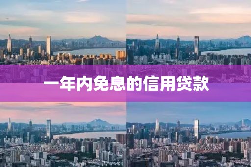一年内免息的信用贷款