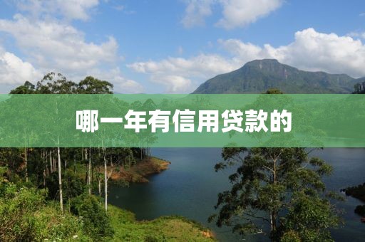 哪一年有信用贷款的