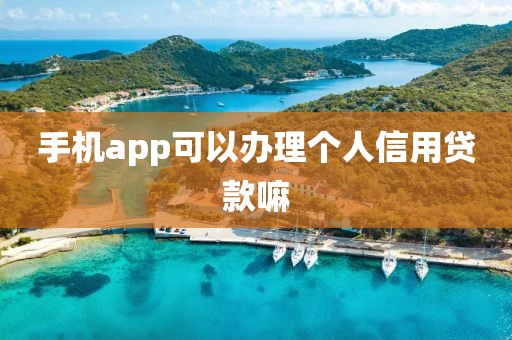 手机app可以办理个人信用贷款嘛