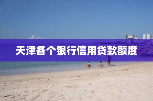 天津各个银行信用贷款额度