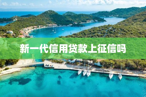 新一代信用贷款上征信吗