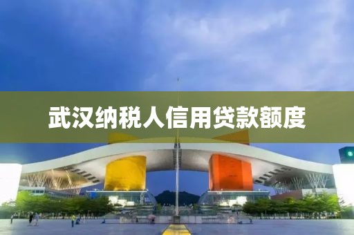 武汉纳税人信用贷款额度