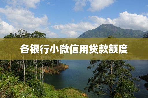 各银行小微信用贷款额度