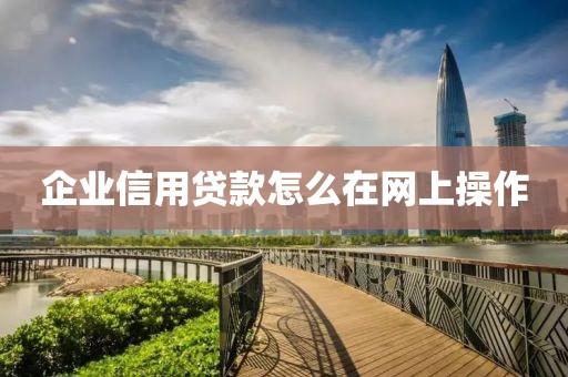 企业信用贷款怎么在网上操作