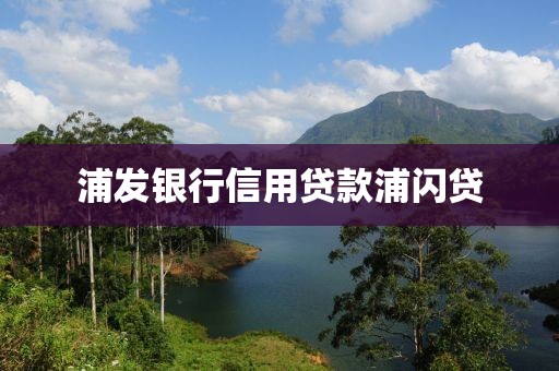 浦发银行信用贷款浦闪贷