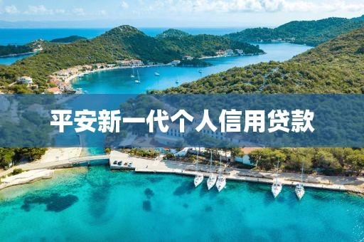 平安新一代个人信用贷款