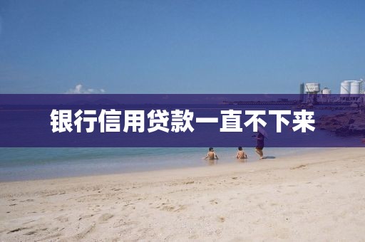 银行信用贷款一直不下来