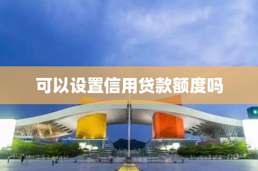 可以设置信用贷款额度吗