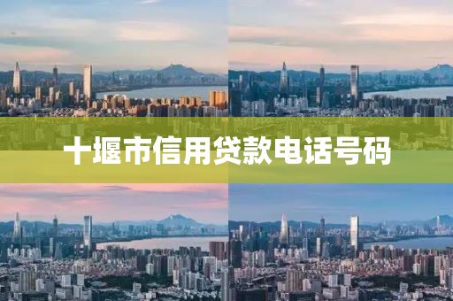十堰市信用贷款电话号码