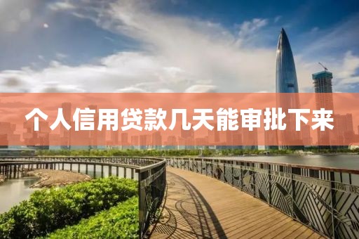 个人信用贷款几天能审批下来