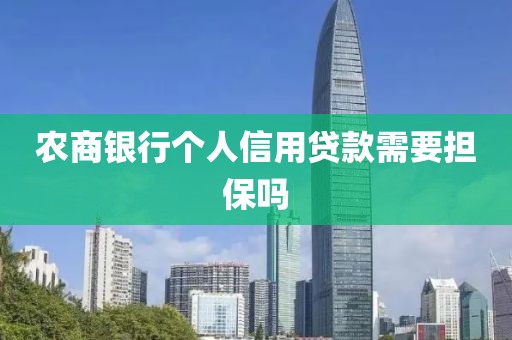 农商银行个人信用贷款需要担保吗