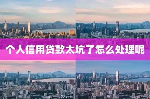 个人信用贷款太坑了怎么处理呢