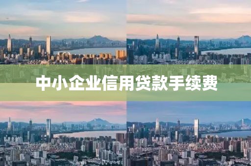 中小企业信用贷款手续费