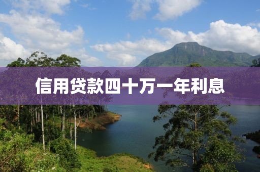 信用贷款四十万一年利息