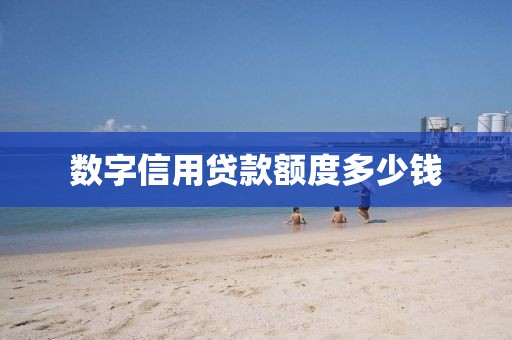 数字信用贷款额度多少钱