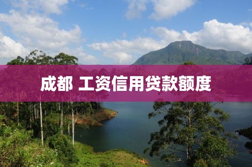 成都 工资信用贷款额度