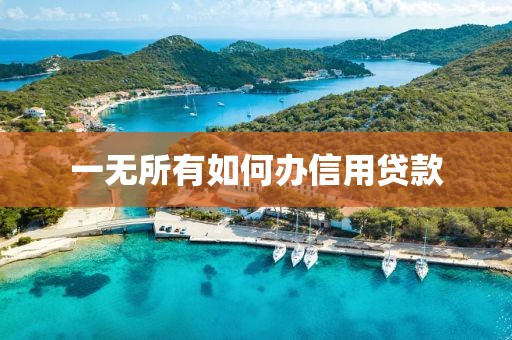 一无所有如何办信用贷款