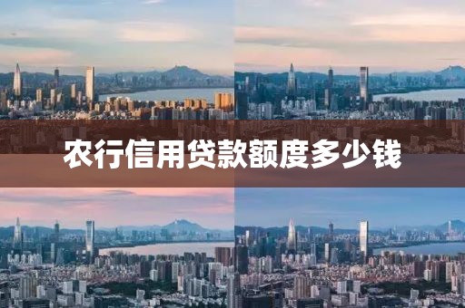农行信用贷款额度多少钱