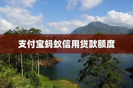 支付宝蚂蚁信用贷款额度