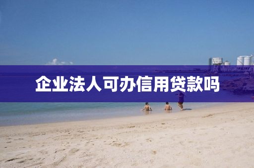 企业法人可办信用贷款吗
