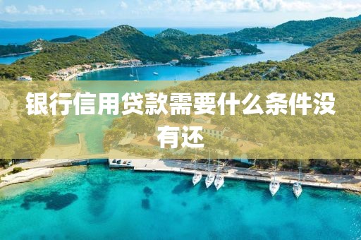 银行信用贷款需要什么条件没有还
