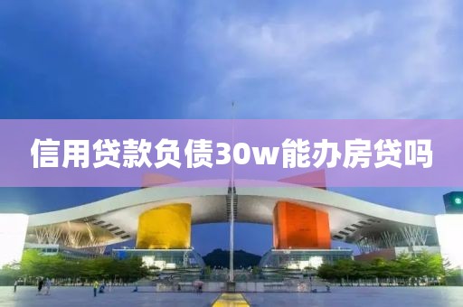 信用贷款负债30w能办房贷吗