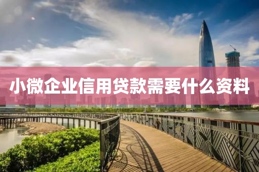 小微企业信用贷款需要什么资料