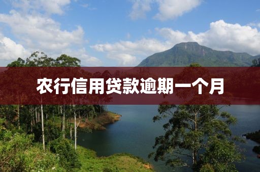 农行信用贷款逾期一个月