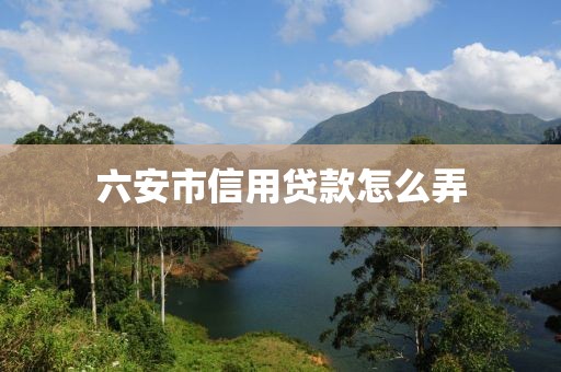 六安市信用贷款怎么弄