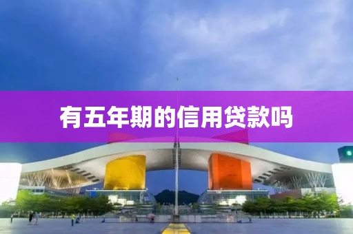 有五年期的信用贷款吗