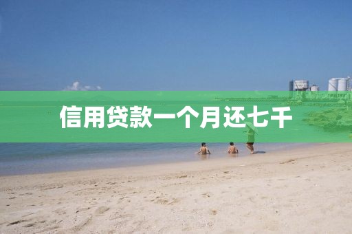 信用贷款一个月还七千