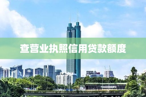 查营业执照信用贷款额度