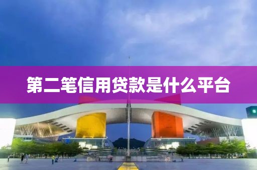 第二笔信用贷款是什么平台